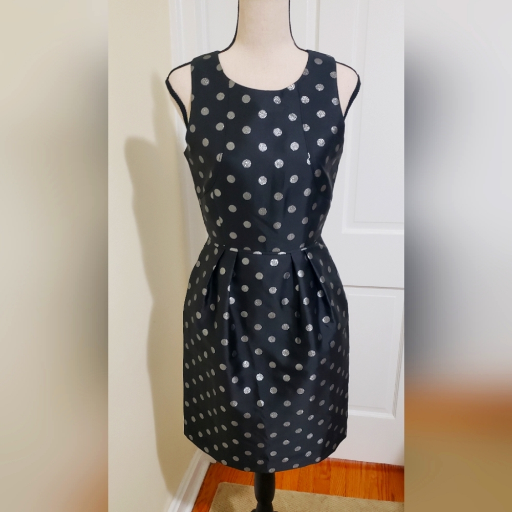 J Crew Polka Dot Cocktail Dress